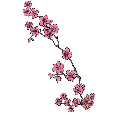 Single Cherry Blossom Branch Design Water Transfer Temporary Tattoo(fake Tattoo) Stickers NO.11093